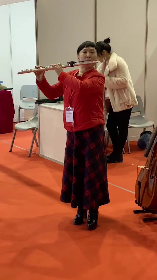 Flute Microphone Q2/DT-5