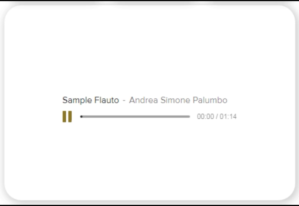 Wired Flute Microphone FT-10