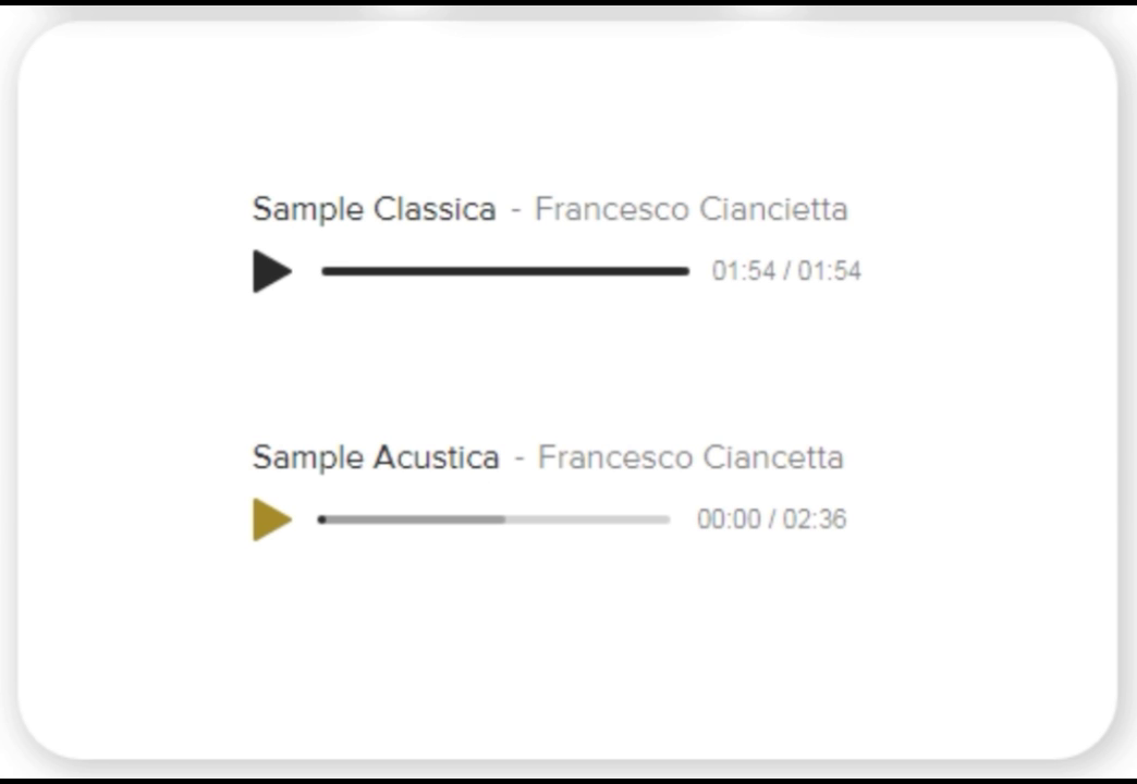 Wired Acoustic Guitar Microphone GT-10