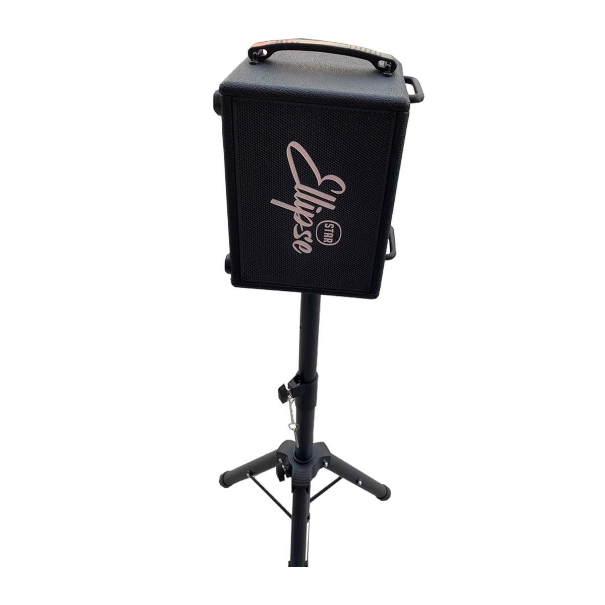 Speaker for Musical Instrument 120W Q3