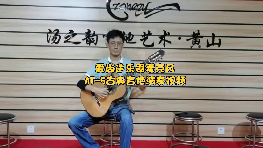 Acoustic Guitar Microphone AT-5