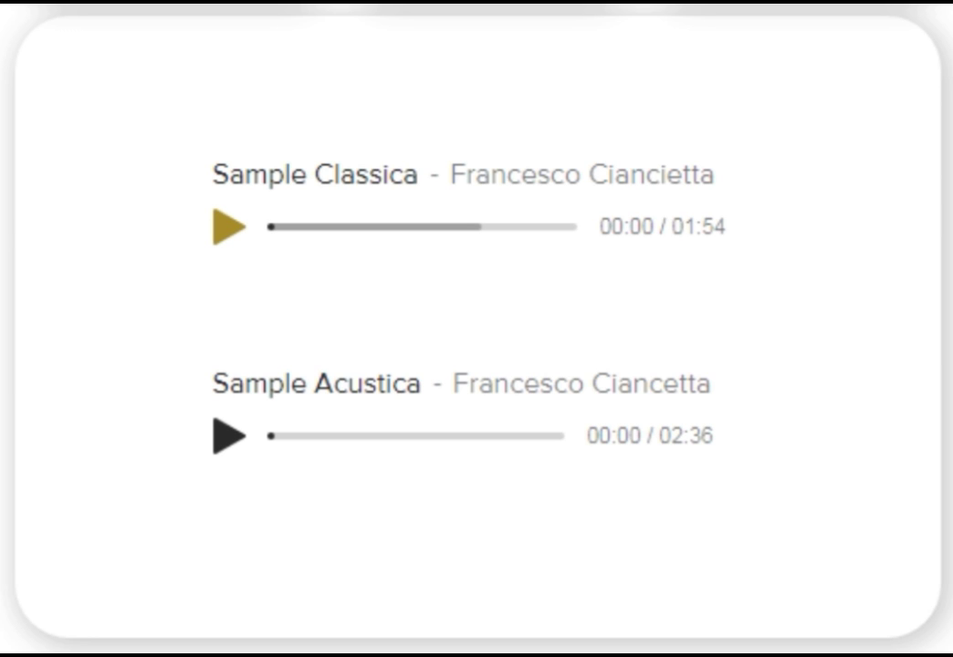 Wired Acoustic Guitar Microphone GT-10