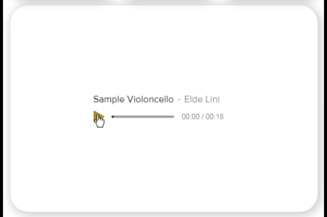 Wired Cello Microphone CT-20