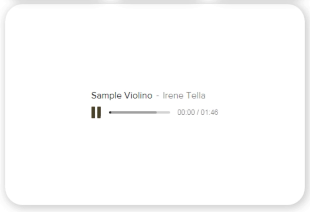 Wired Microphone for Violin VT-10R