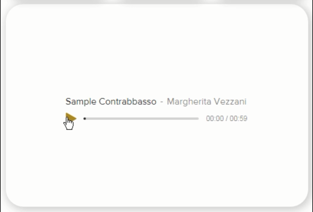 Double Bass Microphone BT-20