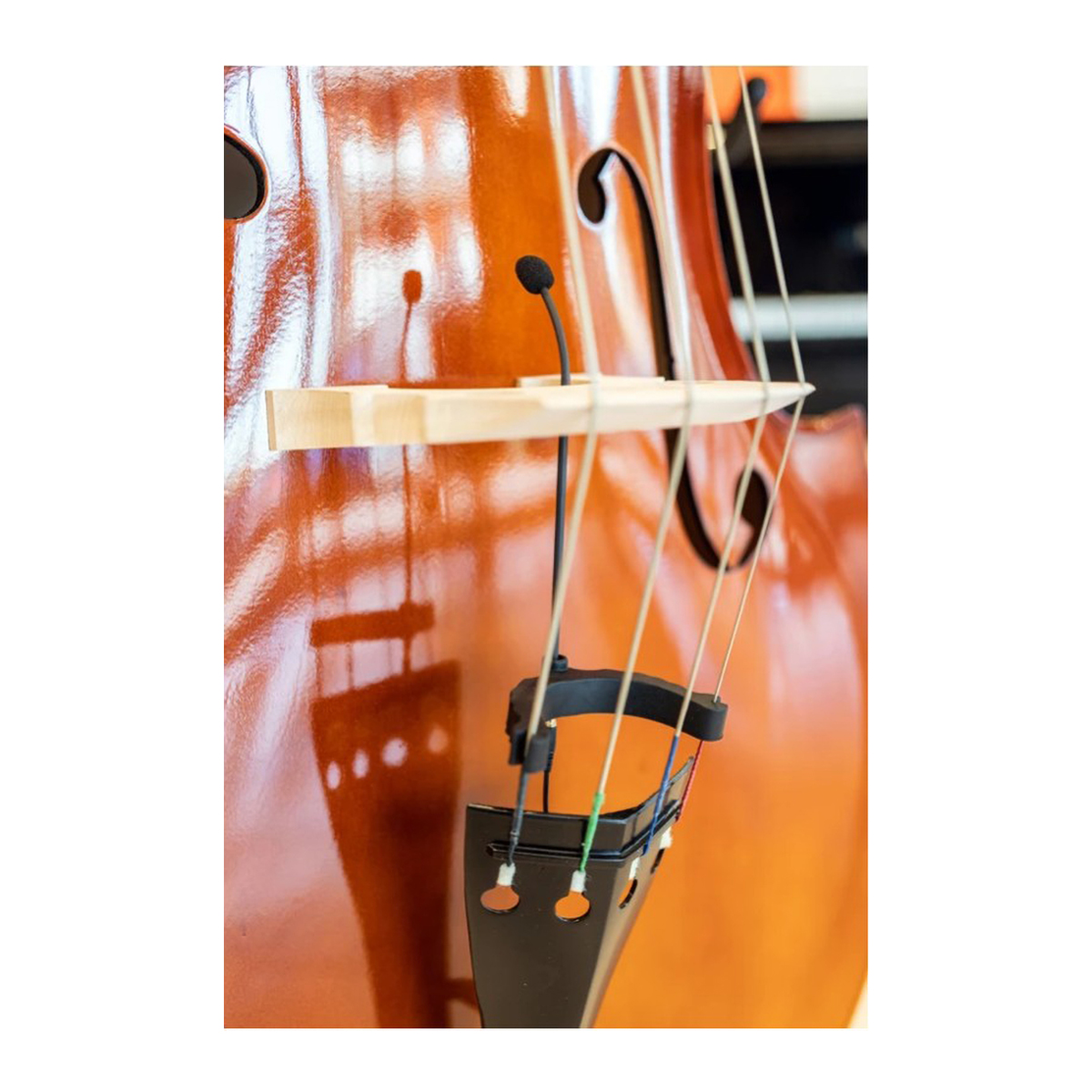 Double Bass Microphone BT-20