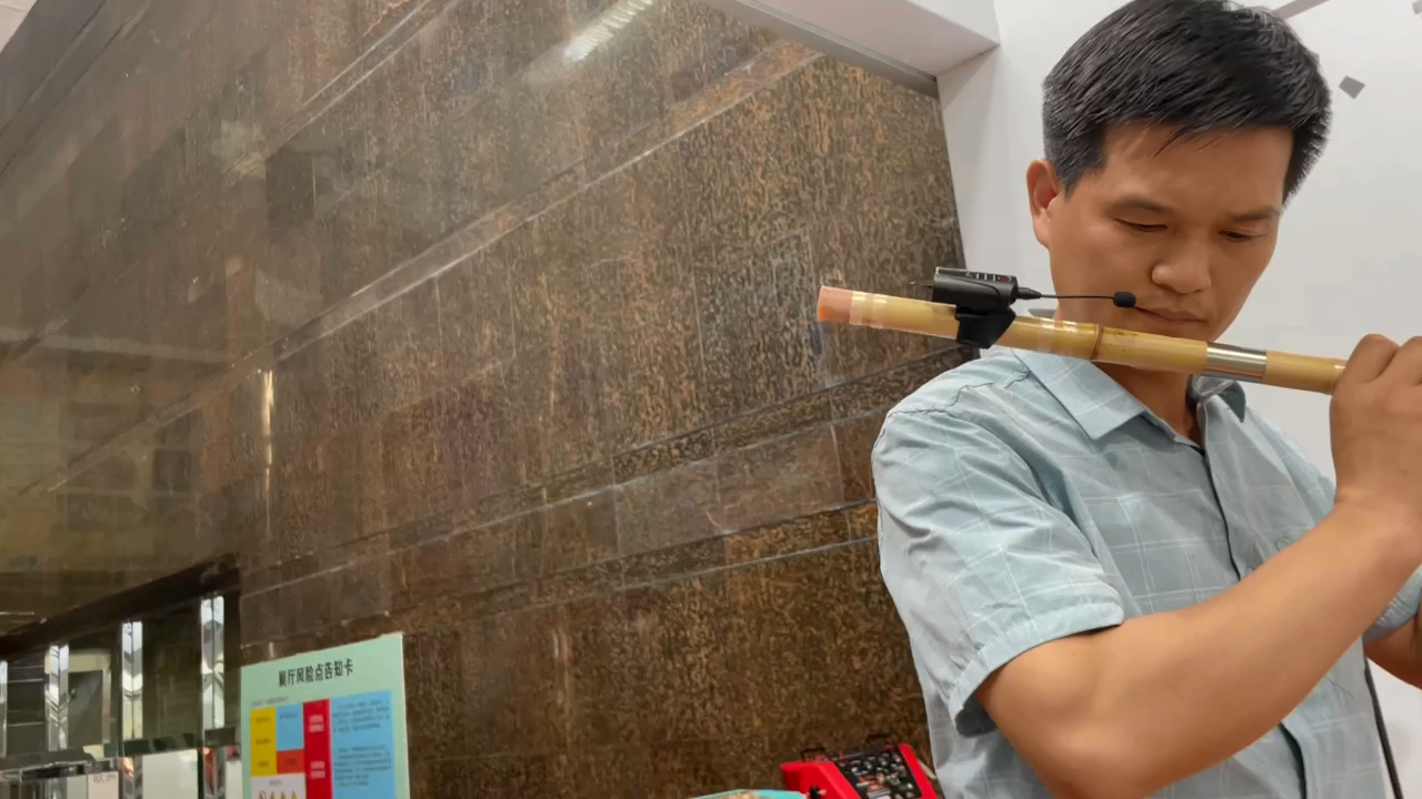 Wireless Flute Microphone DT-5