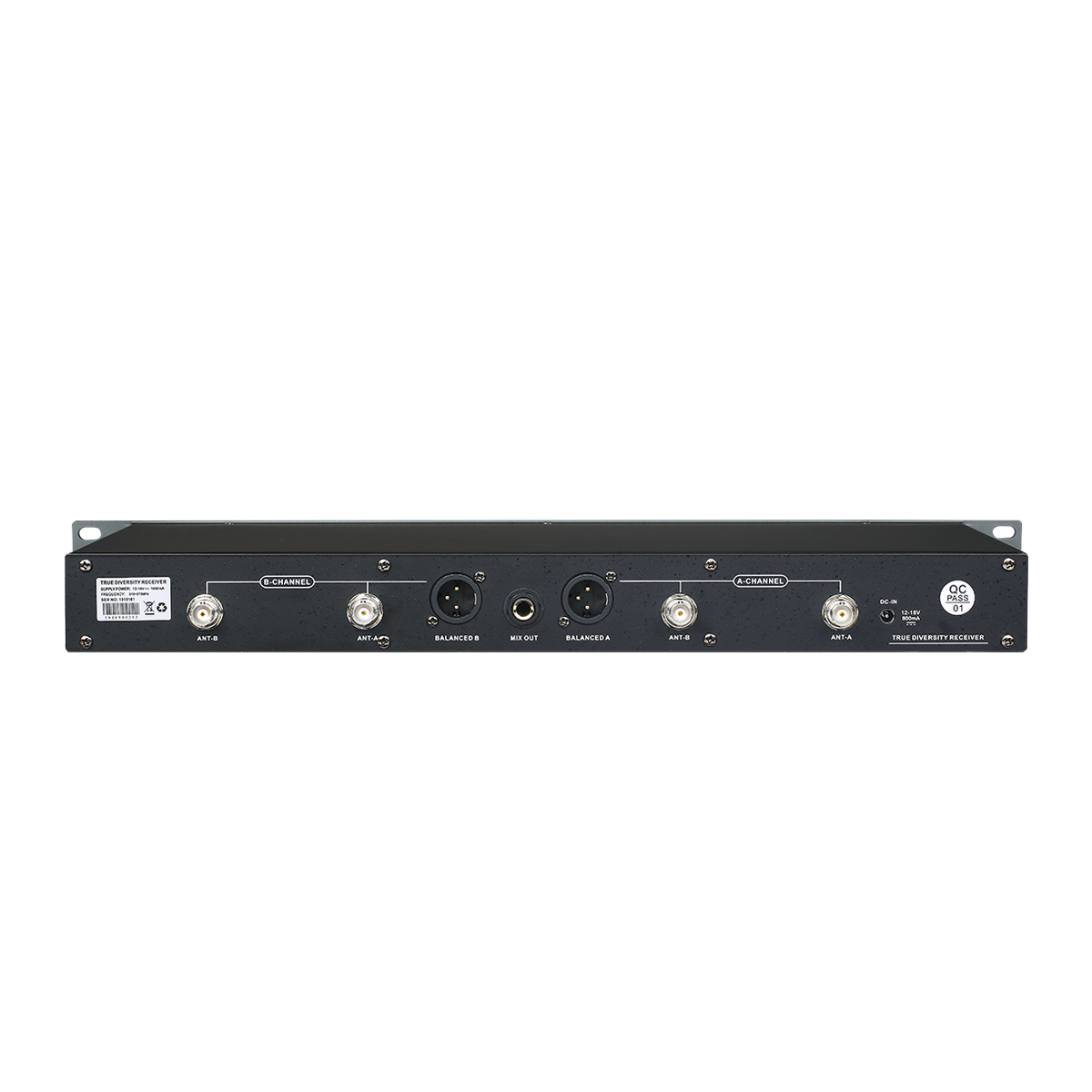 Wireless Stage Microphone X2