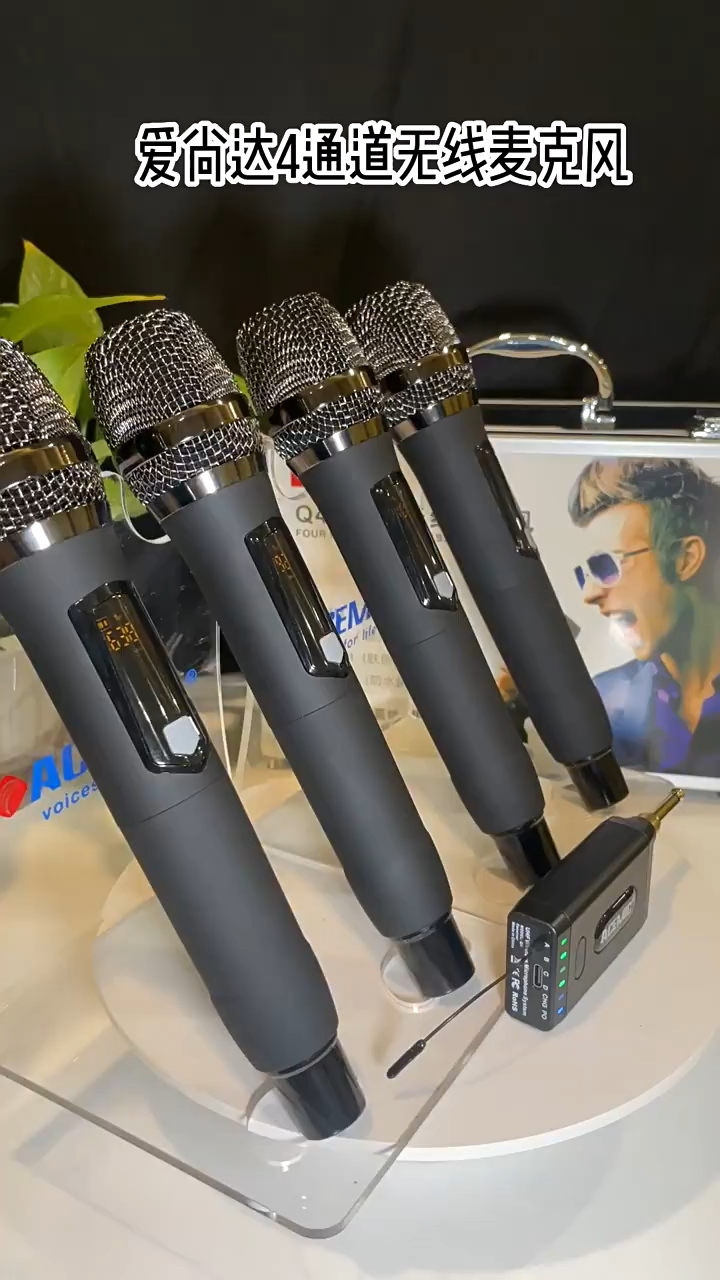 Wireless Microphone 4 Channel Q4/M1
