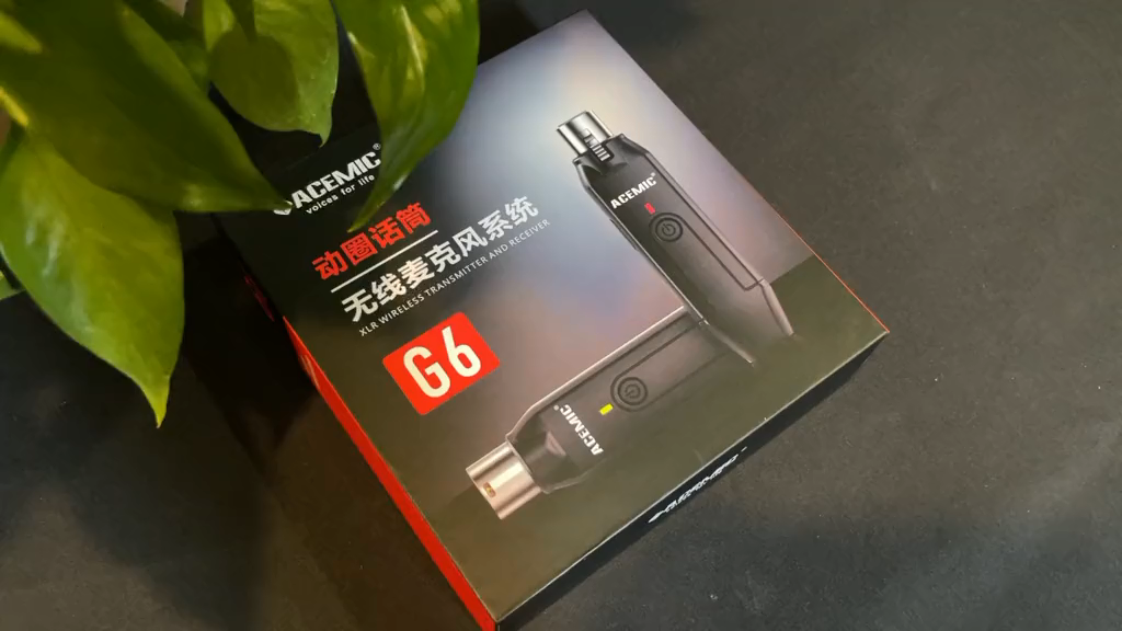 Wireless Microphone Adapter G6