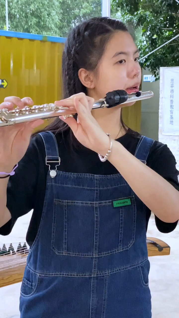 Wireless Flute Microphone DT-5