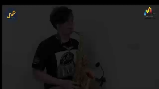 PR-8ECHO/ST-4 Wireless Saxophone Microphone with 3 Echo