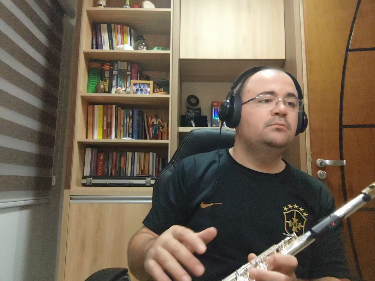 Wireless Flute Microphone DT-5