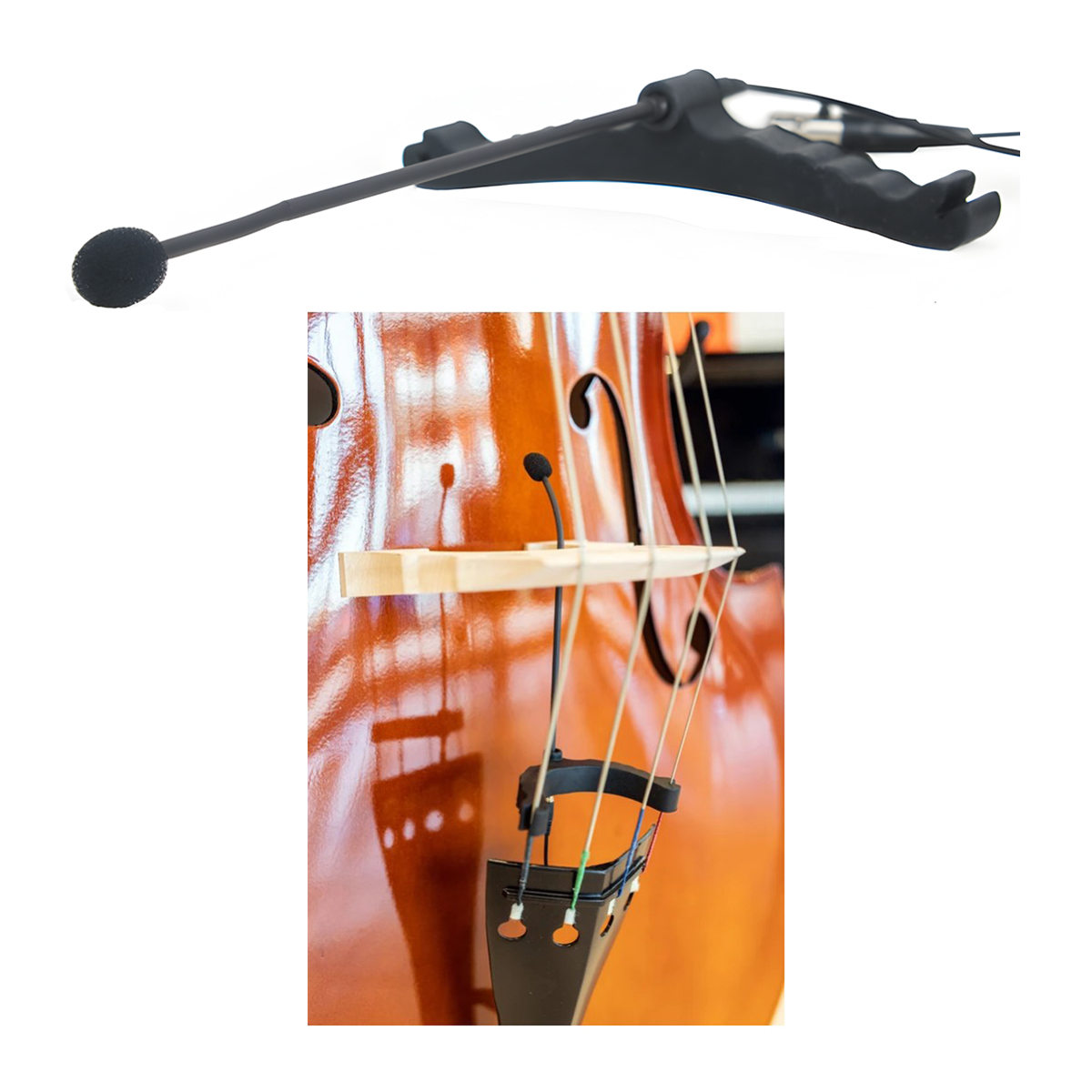 Double Bass Microphone BT-20